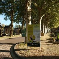 Cimetiere_Pejoces_Dijon%C2%A9Agrostis_2018%20%2840%29.jpg