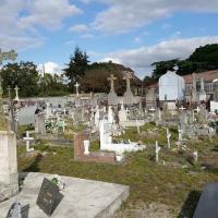 Cimetiere_Pessac-Bordeaux_Metro%C2%A9Oreade-Breche_2017%20%281%29.jpg