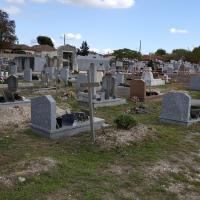 Cimetiere_Pessac-Bordeaux_Metro%C2%A9Oreade-Breche_2017%20%282%29.jpg