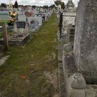 Cimetiere_Pessac-Bordeaux_Metro%C2%A9Oreade-Breche_2017%20%283%29.jpg