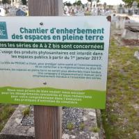 Cimetiere_Pessac-Bordeaux_Metro%C2%A9Oreade-Breche_2017%20%284%29.jpg