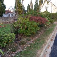 Cimetiere_Toutes_Aides-Nantes©Arp-Astrance_2017 (13).JPG