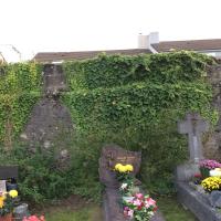 Cimetiere_Toutes_Aides-Nantes©Arp-Astrance_2017 (33).JPG