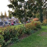 Cimetiere_Toutes_Aides-Nantes©Arp-Astrance_2017 (37).JPG