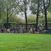 Cimetiere_nouveaux_Puteaux©Arp-Astrance_2023 (54)_0.jpg