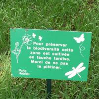 Curial_Cambrai_Crimee_ParisHabitat©Arp-Astrance_2022 (15).JPG