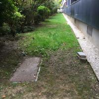 Curial_Cambrai_Crimee_ParisHabitat©Arp-Astrance_2022 (27).JPG