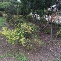 Curial_Cambrai_Crimee_ParisHabitat©Arp-Astrance_2022 (44).JPG