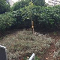 Curial_Cambrai_Crimee_ParisHabitat©Arp-Astrance_2022 (62).JPG