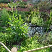 DOMAINE DE LACROIX LAVAL METROPOLE DE LYON @BRASSICA_2024 (5).JPG