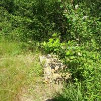 DOMAINE DE LACROIX LAVAL METROPOLE DE LYON @BRASSICA_2024 (8).JPG