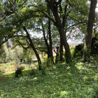 Domaine des collette musée Renoir_Cagnes-sur-mer_GIROD 2024 1.JPG