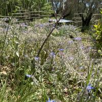 Domaine des collette musée Renoir_Cagnes-sur-mer_GIROD 2024 2.JPG