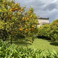 Domaine des collette musée Renoir_Cagnes-sur-mer_GIROD 2024 5.JPG