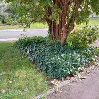 Dorian_Picpus_Paris-Habitat©Arp-Astrance_2023 (8).jpg