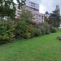 EV_accompagnement_Q11-2_Rennes©Arp-Astrance_2023 (1).jpg