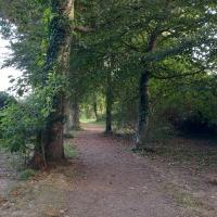 EV_accompagnement_Q11_Rennes©Arp-Astrance_2023 (1).jpg