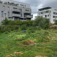 EV_accompagnement_Q4_Rennes©Arp-Astrance_2023 (1).jpg