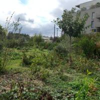 EV_accompagnement_Q4_Rennes©Arp-Astrance_2023 (2).jpg