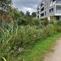 EV_accompagnement_Q4_Rennes©Arp-Astrance_2023 (3).jpg