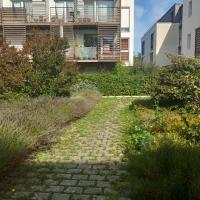 EV_accompagnement_Q5_Rennes©Arp-Astrance_2023 (4).jpg