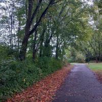 EV_accompagnement_Q6_Rennes©Arp-Astrance_2023 (1).jpg