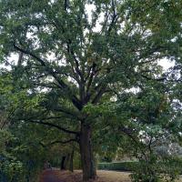 EV_accompagnement_Q6_Rennes©Arp-Astrance_2023 (2).jpg