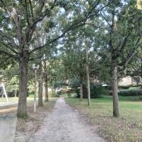 EV_accompagnement_Q7_Rennes©Arp-Astrance_2023 (3).jpg