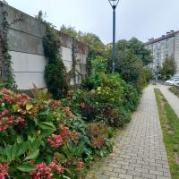 EV_accompagnement_Q8_Rennes©Arp-Astrance_2023 (4).jpg