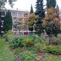 Ecole_Plein_Air_Pantin©Arp-Astrance_2023 (12).jpg