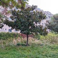 Ecole_Plein_Air_Pantin©Arp-Astrance_2023 (5).jpg