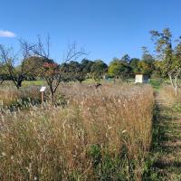 Ecolotheque_MMM©Oreade-Breche_2021 (10).jpg