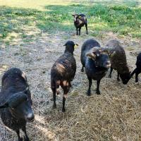 Ecolotheque_MMM©Oreade-Breche_2021 (15).jpg