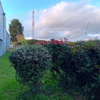 Espace_Deco©Arp-Astrance_2023 (15).jpg