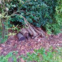 Espace_Deco©Arp-Astrance_2023 (19).jpg