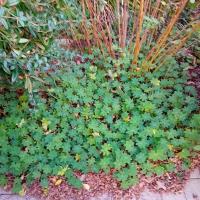 Espace_Deco©Arp-Astrance_2023 (3).jpg