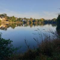Etang_Longs_Champs_Rennes©Arp-Astrance_2023 (4).jpg