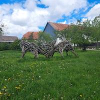 FermeCourbet-25 (1).jpg