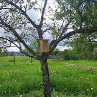 FermeCourbet-25 (2).jpg