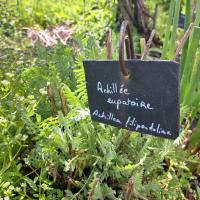 FermeCourbet-25 (3).jpg