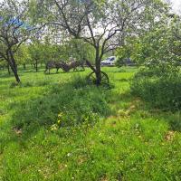 FermeCourbet-25 (5).jpg