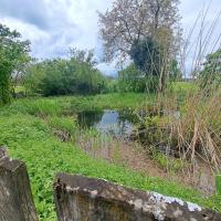 FermeCourbet-25 (8).jpg