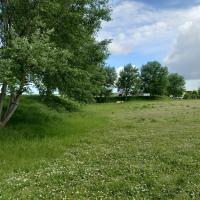 France_Boissons_Ifs©Arp-Astrance_2023 (13).jpg