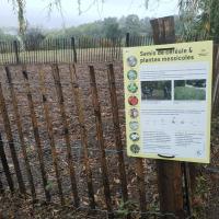 Franges_Vertes_Seyssins_GAM©Alticime_2023 (4).jpg