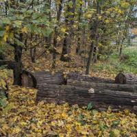 GENNEVILLIERS_Parc des Sevines©Arp-Astrance_ 2024 (15).jpg