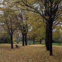 GENNEVILLIERS_Parc des Sevines©Arp-Astrance_ 2024 (16).jpg