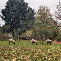 GENNEVILLIERS_Parc des Sevines©Arp-Astrance_ 2024 (21).jpg