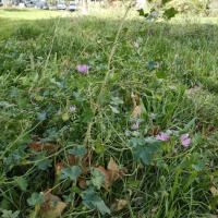 GLH François Leynaud 2024 3.jpg