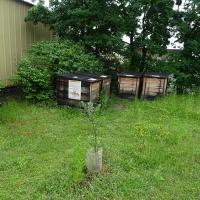 Gustave_Eiffel_2024 (1).jpg