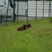 Gustave_Eiffel_2024 (3).jpg